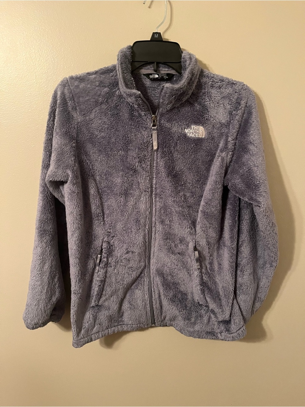 The North Face Kids Gray Plush Fleece Jacket
